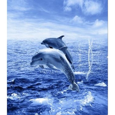 Шторка для ванной фотопринт "Дельфины" 180х200 без колец (PL), арт. Two dolphins